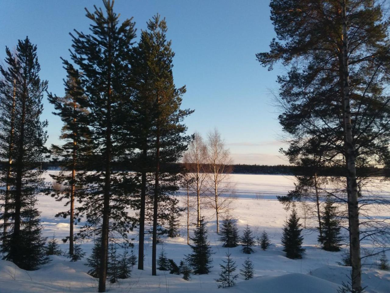 Rieskapaikka Koivu Exterior foto